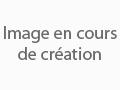 Théâtre-Association de la Régie Théâtrale